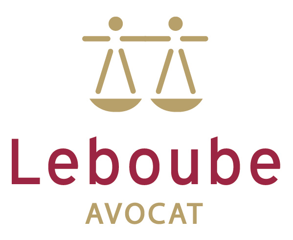 Maître Agnès Leboube avocat